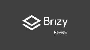 Brizy Review