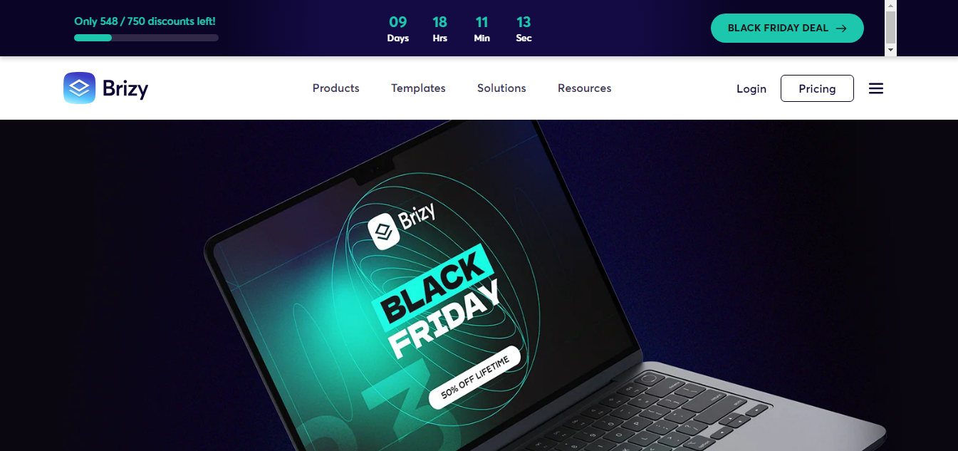 Brizy black friday deal