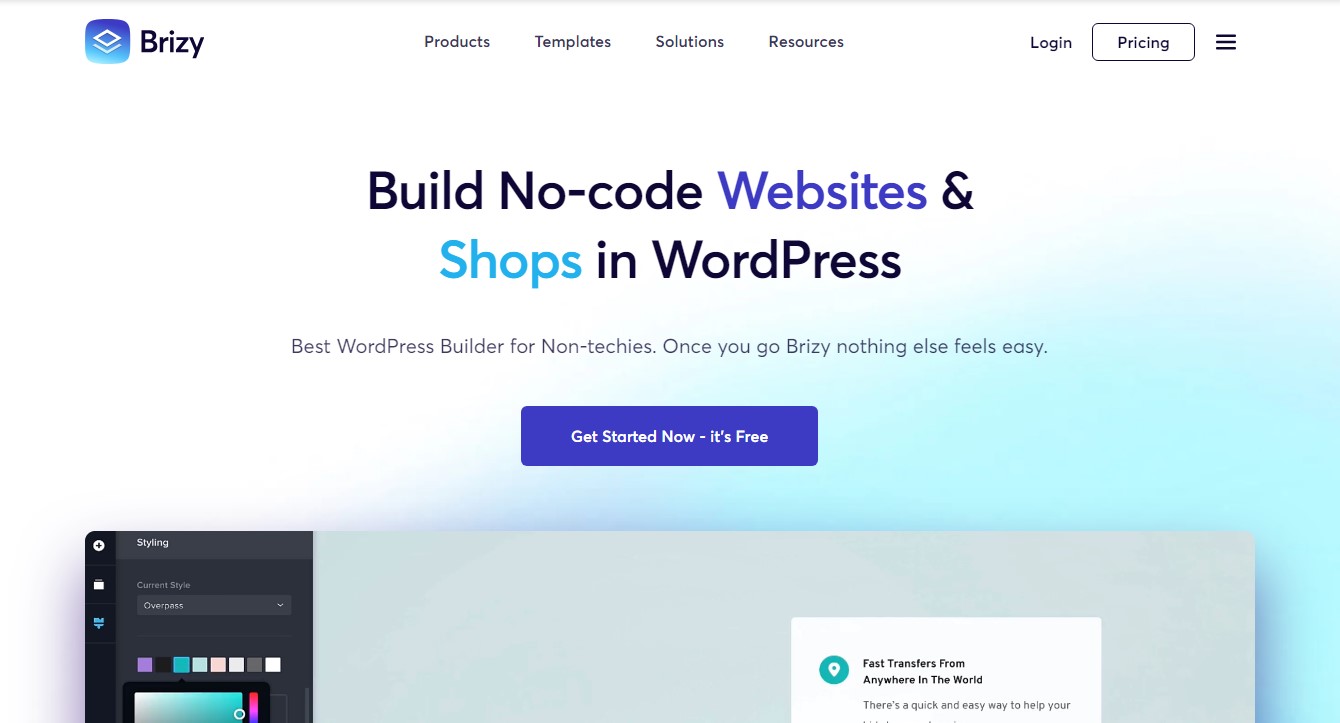 Brizy no code WordPress page builder