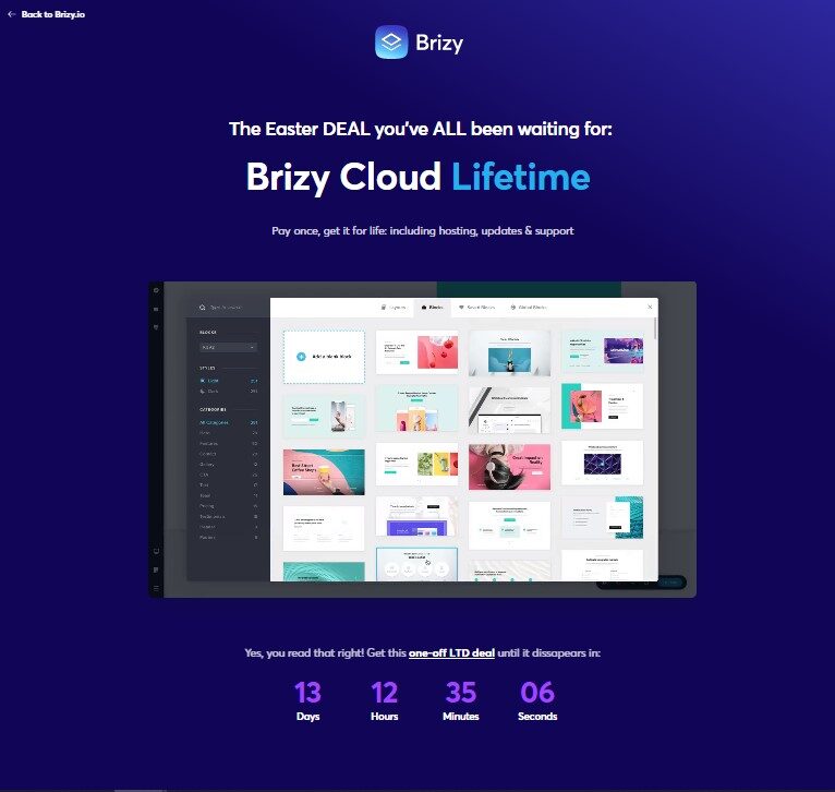 Brizy cloud one time life plan offer