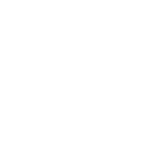Go daddy logo icon