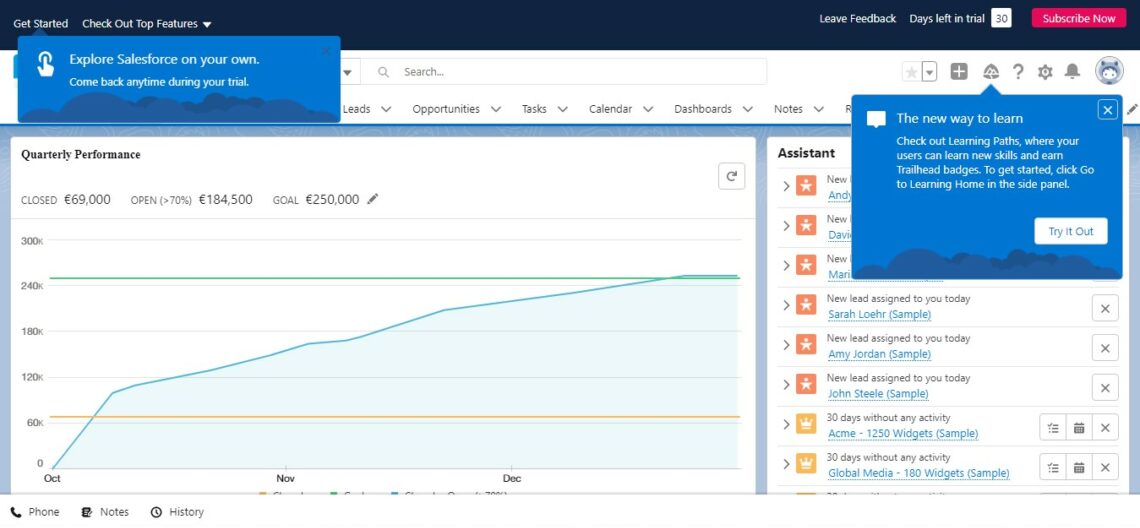Salesforce interface