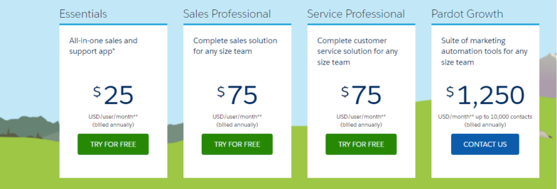 Salesforce CRM small business price